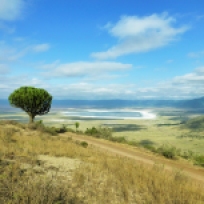 view of the Ngorongoro Crater from the rim