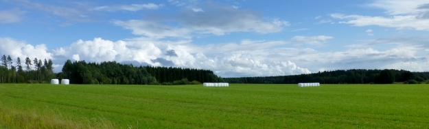 Swedish fields